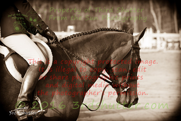 BV2A9197-2