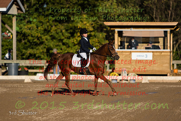 0E5A5449