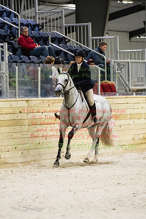 SF1_4095