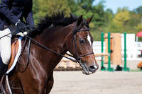 F43Q6483
