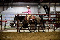 AMA Ranch Riding