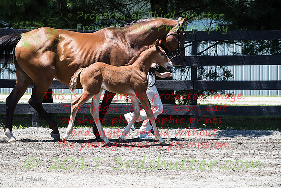 A18I2997