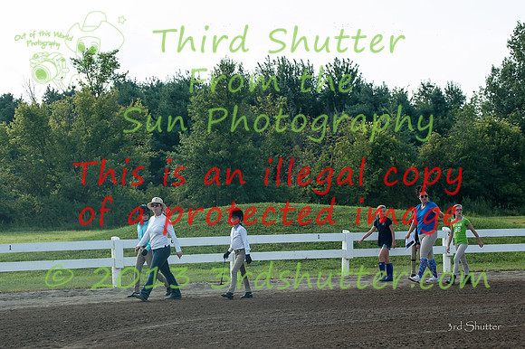 130817_WalkTrotClassic_0050