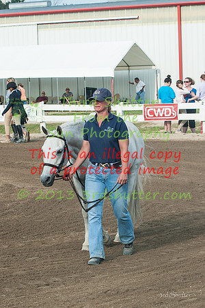 130817_WalkTrotClassic_0036