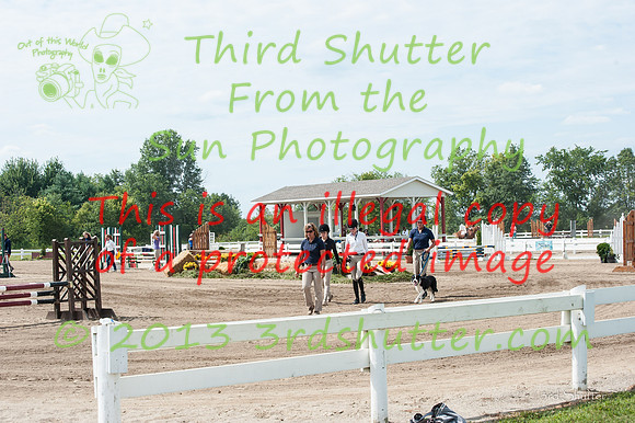 130816_WalkTrot_0170