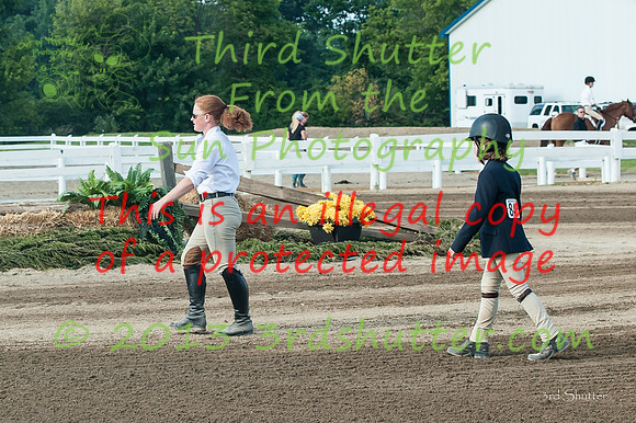 130817_WalkTrotClassic_0035