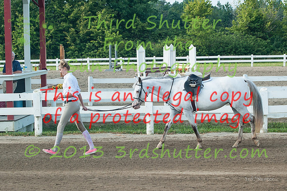130817_WalkTrotClassic_0038