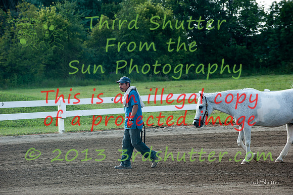 130817_WalkTrotClassic_0053