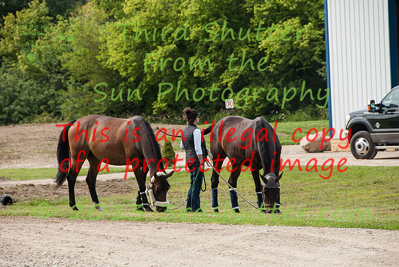 130815_WalkTrot_0003