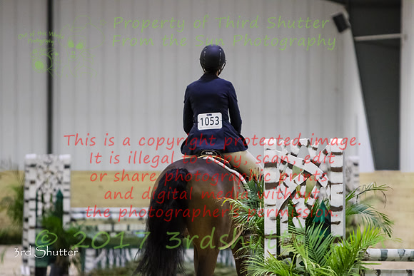 0M3A6334