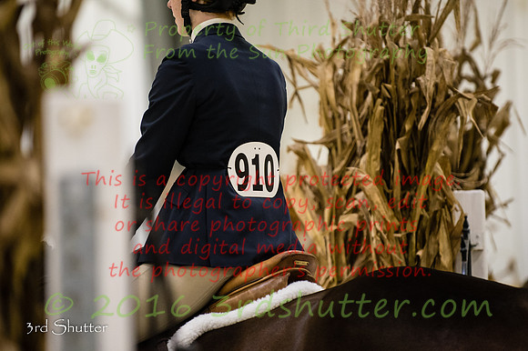 SF1_2967