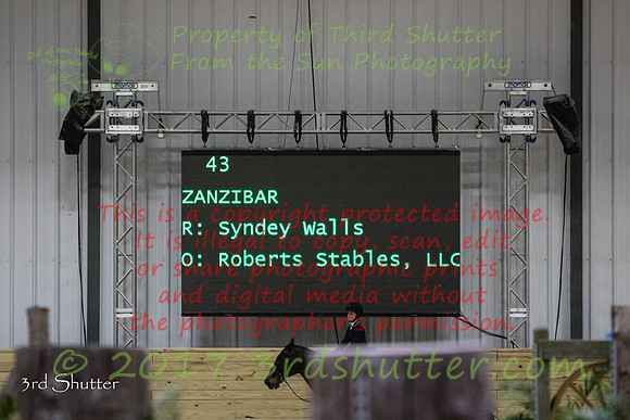0E5A5628