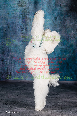A18I1296-Edit