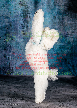 A18I1296-Edit-Edit