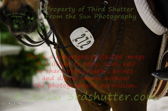 _SF13413