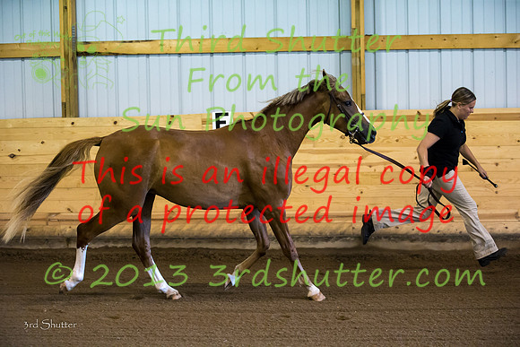 F43Q0429