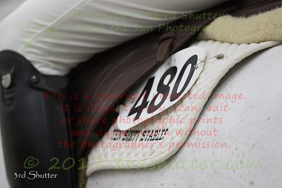 BV2A0984