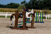 BV2A7560