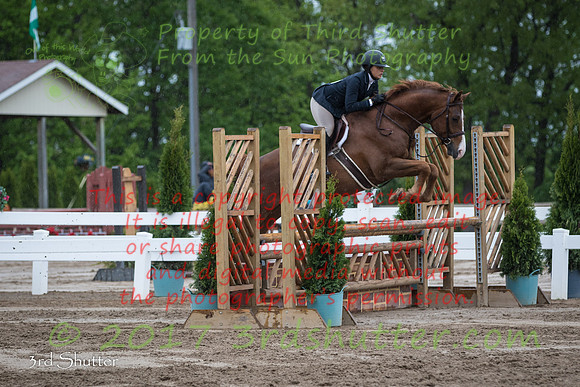 BV2A6981