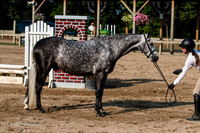 IMG_0055-2