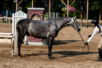 IMG_0054-2