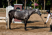 IMG_0056-2