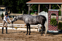 IMG_0065-2