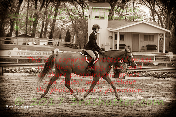 BV2A0006-2