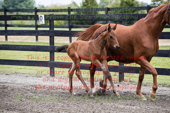 A18I9088