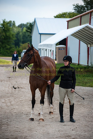 130816_WalkTrot_0017