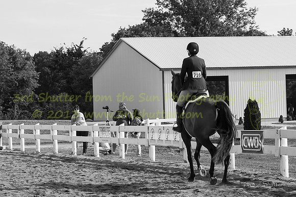 130816_WalkTrot_0139