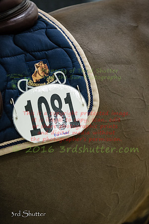 _1SF1115