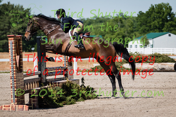 IMG_5419