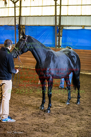 F43Q0066