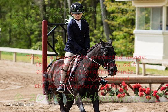 BV2A4126