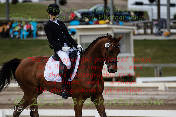BV2A1995