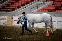 Halter - AQHA Amtr Aged Geldings