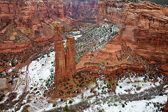 _MG_1317