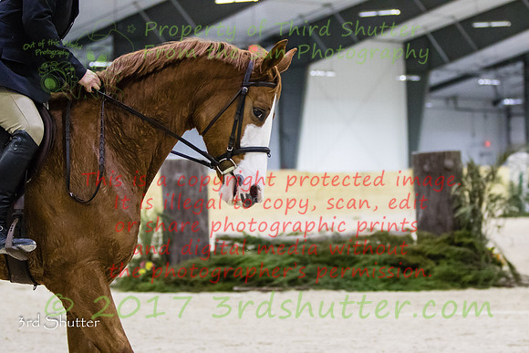 0M3A0194