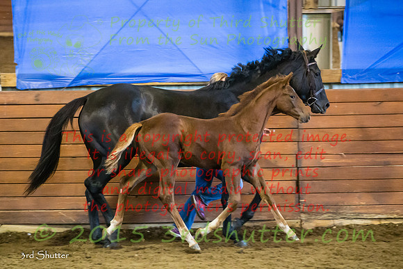 F43Q0302