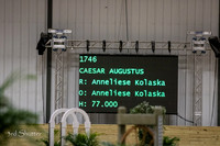 0M3A8222