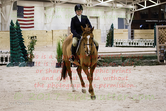 BV2A2196