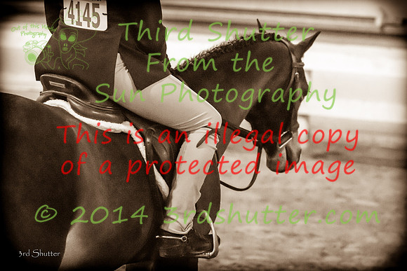 IMG_6371