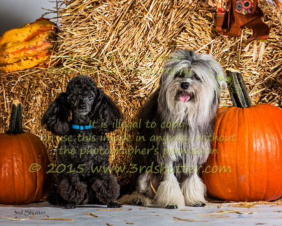 IMG_2492-Edit