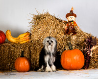 IMG_2475-Edit