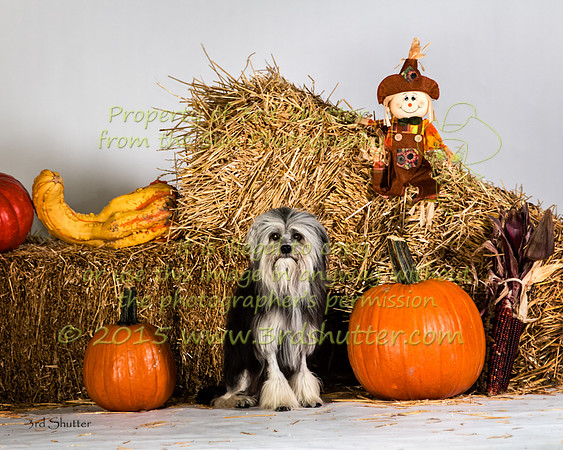 IMG_2475-Edit