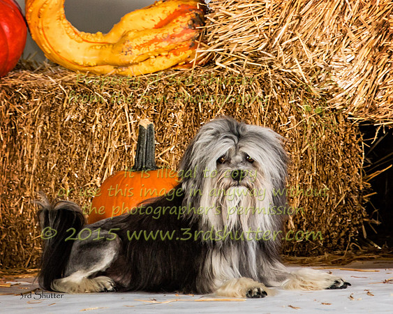 IMG_2481-Edit