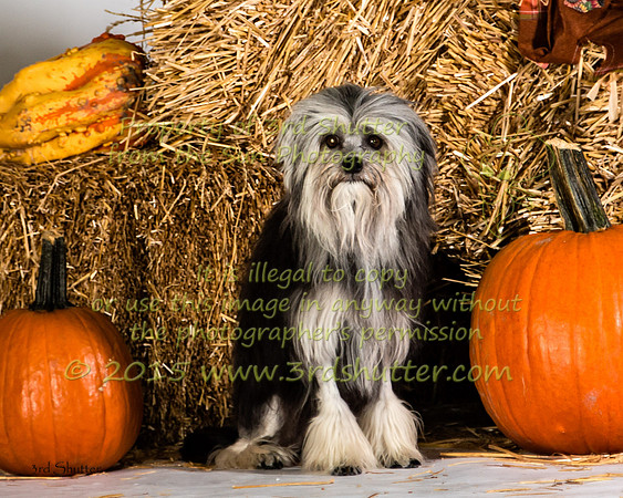 IMG_2475-Edit-2