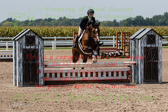 BV2A6584