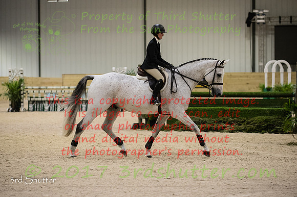 _1SF2078